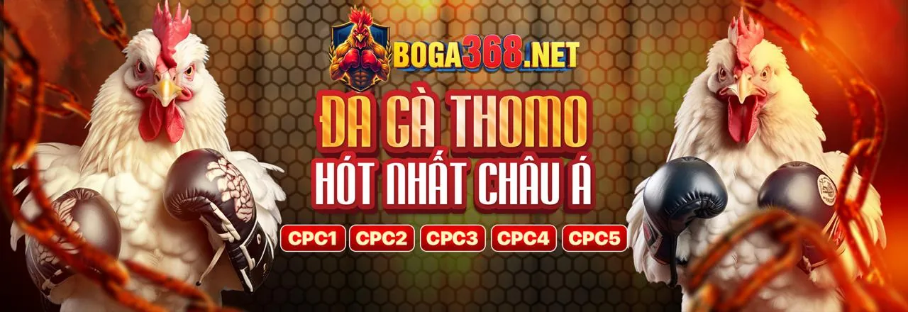 Thông tin từ bên thứ ba
